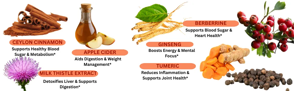 Kun Shafi Ceylon Cinnamon Complex with Berberine Apple Cider Vinegar Plus Bitter Melon Gymnema Ginseng Chromium & Turmeric Milk Thistle 60 Ct - ingredients