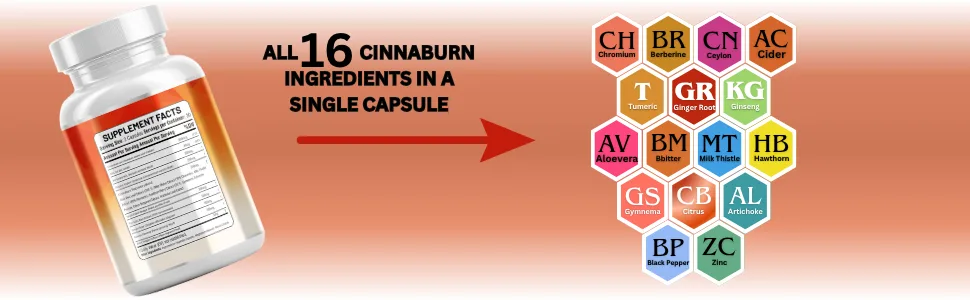 Kun Shafi Ceylon Cinnamon Complex with Berberine Apple Cider Vinegar Plus Bitter Melon Gymnema Ginseng Chromium & Turmeric Milk Thistle 60 Ct - Kun shafi Ceylon