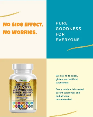 Kun Shafi Ceylon Cinnamon Complex with Berberine Apple Cider Vinegar Plus Bitter Melon Gymnema Ginseng Chromium & Turmeric Milk Thistle 60 Ct - Shilajit