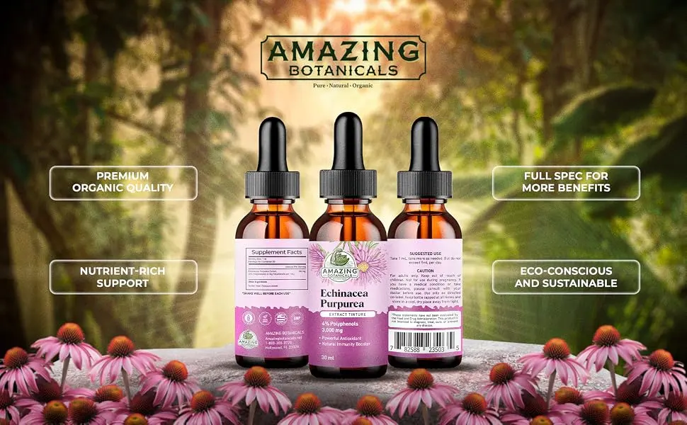 Amazing Botanicals Echinacea Purpurea Extract Tincture - 3,000mg Herbal Liquid Supplement Extract for Immune System Support - High Strength Formula with Natural Antioxidant for Overall Wellbeing - echinacea purpurea extract tincture
