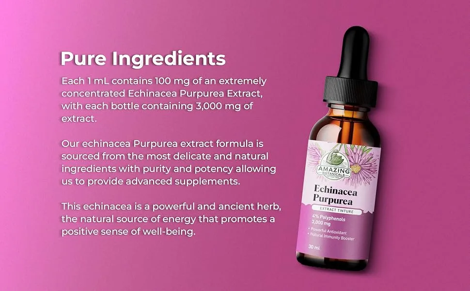 Amazing Botanicals Echinacea Purpurea Extract Tincture - 3,000mg Herbal Liquid Supplement Extract for Immune System Support - High Strength Formula with Natural Antioxidant for Overall Wellbeing - echinacea purpurea extract tincture