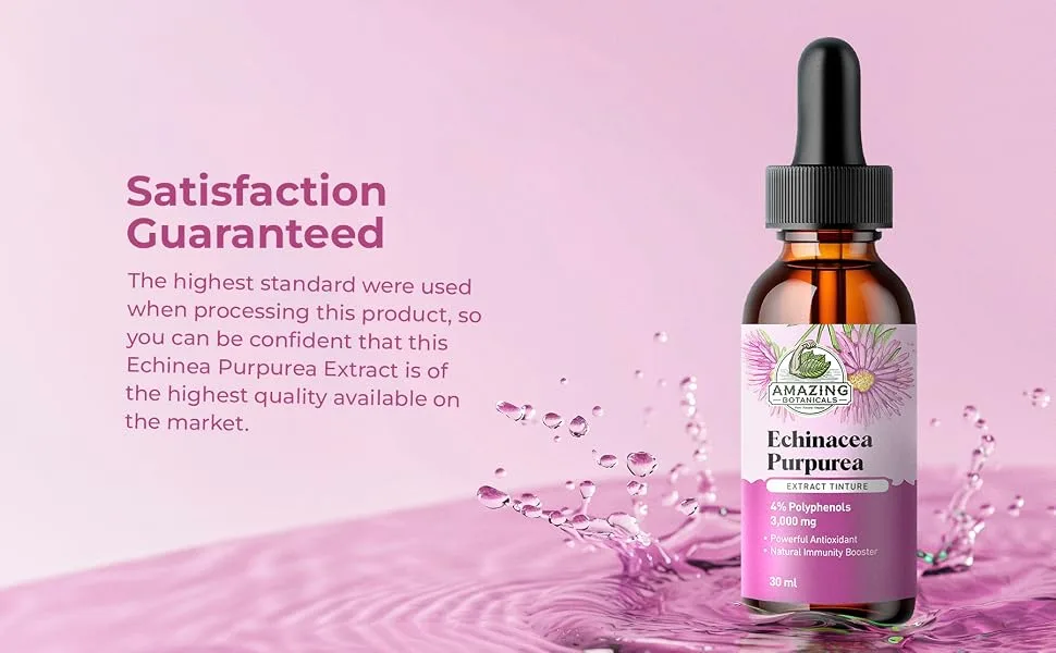 Amazing Botanicals Echinacea Purpurea Extract Tincture - 3,000mg Herbal Liquid Supplement Extract for Immune System Support - High Strength Formula with Natural Antioxidant for Overall Wellbeing - echinacea purpurea extract tincture