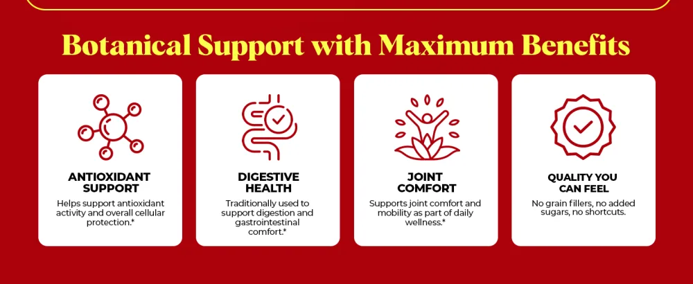 Black Pepper 10X Extract Tablets - Piper Nigrum, 15mg - 95% Piperine - Black Pepper Supplement Tablets - Natural Antioxidant Support - 30 Tablets - black pepper 15mg