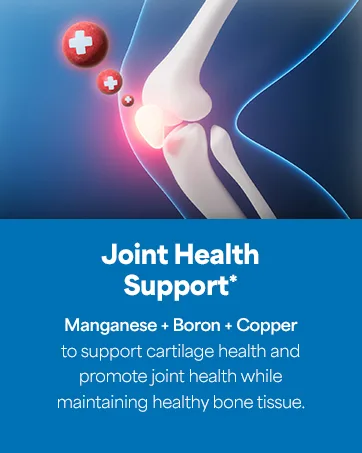 OCEAN ESSENCE Total Bone Support - Plant-Based Algae Calcium Supplement for Supporting Bone Density & Strength - for Men & Women 35+ - 120 Natural Calcium Capsules - Vitamins for Optimal Health 1-pack - Ocean Essence Total Bone Support