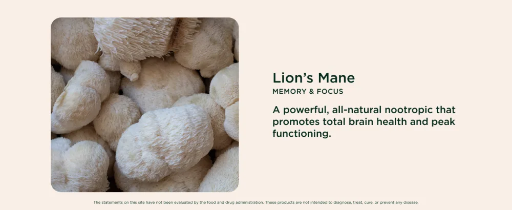 The Genius Brand Genius Lion's Mane - Plant-Based Supplement for Memory, Focus & Mood Support - Organic & Non-GMO - 120 Veggie Capsules - product information 13