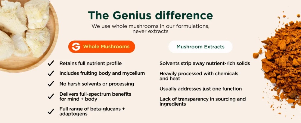 The Genius Brand Genius Lion's Mane - Plant-Based Supplement for Memory, Focus & Mood Support - Organic & Non-GMO - 120 Veggie Capsules - product information 17