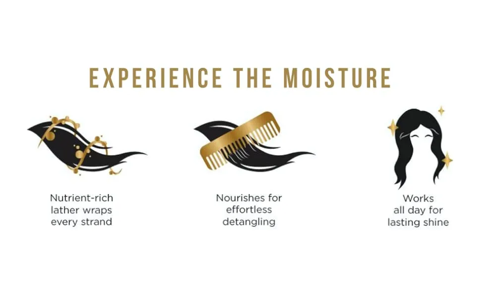 Pantene Daily Moisture Renewal Shampoo and Conditioner OLD Version - pantene experience the moisture shampoo and conditioner bundle pack dry hair