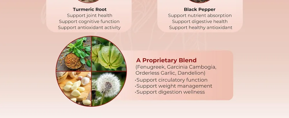 Organic Cayenne Pepper 9IN1 Complex with Cinnamon, Ginger, Turmeric for Overall Health, Immune System, Digestion Wellness (150 Count (Pack of 1)) - vegatot cayenne pepper supplement