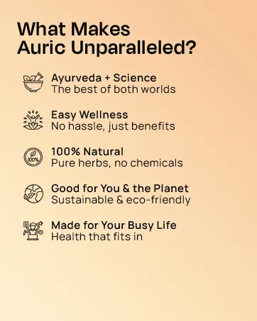 Auric Shilajit/Shilajeet Energy 60 Capsules | Lab Tested Pure Shilajit Shilajit 60 Capsule - ayurvedic