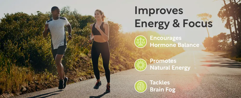 THYROVANZ Thyroid Support Complex (60 Capsules) Thyroid Support for Women & Men, 0% Iodine, Boosts Mood & Energy, Fights Brain Fog & Stress, Includes B Vitamins, Non-GMO, Made in USA - cGMP Certified - the ultimate thyroid support thyrovanz complex iodine free