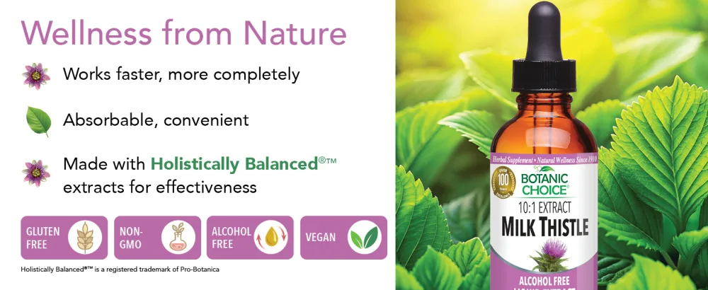 Botanic Choice Milk Thistle Liquid Extract, Alcohol Free, Gluten Free, Fast Acting Traditional Liver Favorite, 1 fl. oz - 10:1 extract milk thistle liquid absorbable works faster gluten free non-gmo vegan