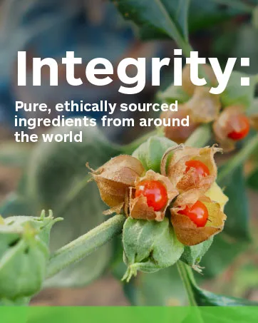 Professional Botanicals Sugar Metabolizer 90 Vegetarian Capsules - Integrity: Pure, ethically sourced ingredients from around the world