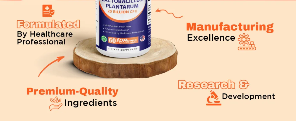 Vitamatic Lactobacillus Plantarum - 20 Billion per DR Capsule - 60 Count - Digestive Support - Made with Prebiotic Inulin Fiber 60 Count (Pack of 1) - product information 14