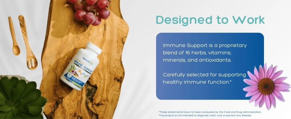 Natural Cure Labs Premium Immune Support 60 Count (Pack of 1) - designed to work