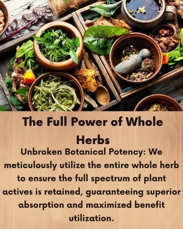 Neotea Pinju kadukkai/Harad/Haritaki (200g) - herbal powder