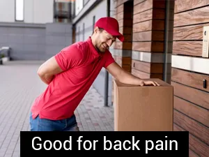 Planet Ayurveda Boswellia Curcumin - 2 Bottles (Each 60 Capsules, 500mg) in USA - back pain