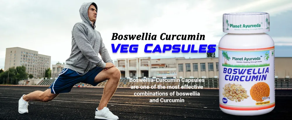 Planet Ayurveda Boswellia Curcumin - 2 Bottles (Each 60 Capsules, 500mg) in USA - boswellia curcumin
