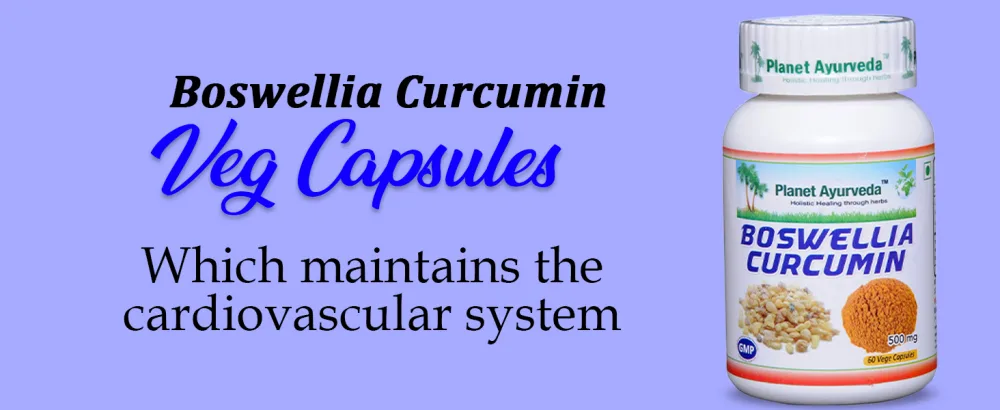 Planet Ayurveda Boswellia Curcumin - 2 Bottles (Each 60 Capsules, 500mg) in USA - Boswellia Curcumin