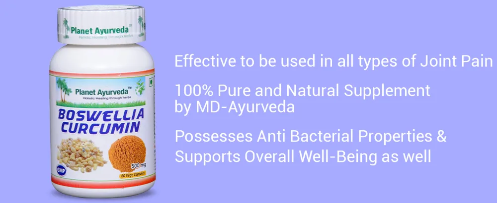 Planet Ayurveda Boswellia Curcumin - 2 Bottles (Each 60 Capsules, 500mg) in USA - Joint Pain