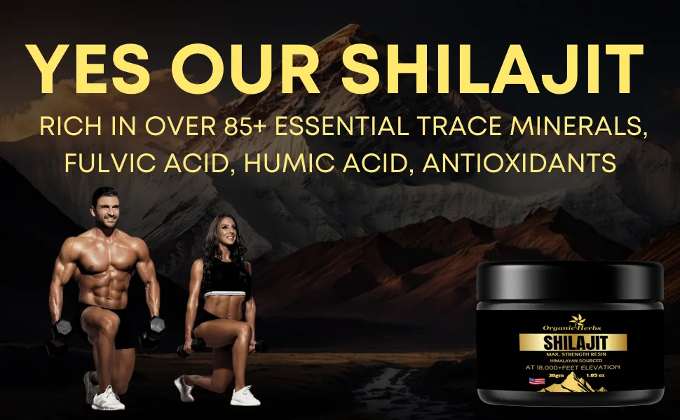 Organic Herbs Pure Natural Himalayan Shilajit Resin for Men & Women for Energy Boost & Immune Support (30Gm/1.0 Ounce) - shilajit