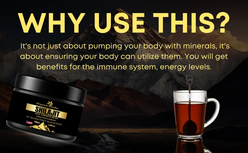 Organic Herbs Pure Natural Himalayan Shilajit Resin for Men & Women for Energy Boost & Immune Support (30Gm/1.0 Ounce) - shilajit