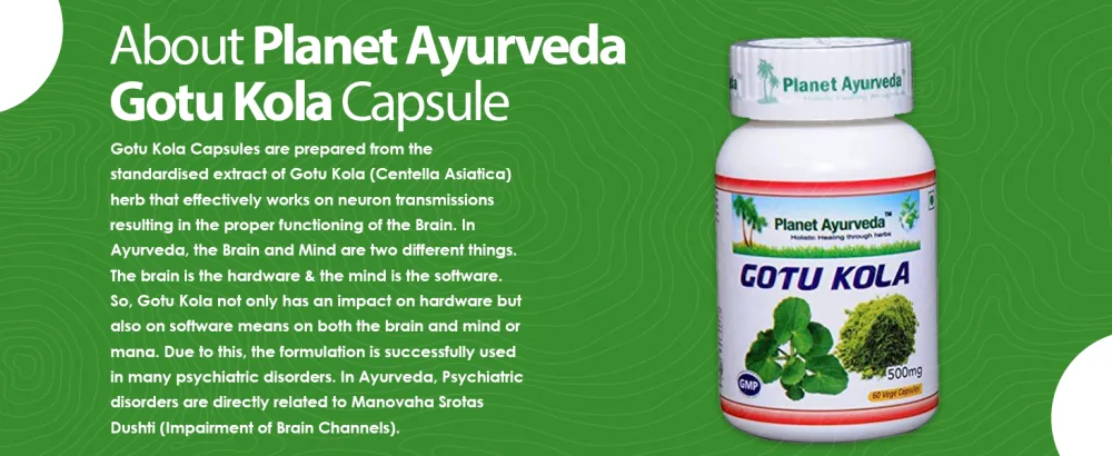 Planet Ayurveda Gotu Kola, 500mg Veg Capsules-Single Bottle 1 - About