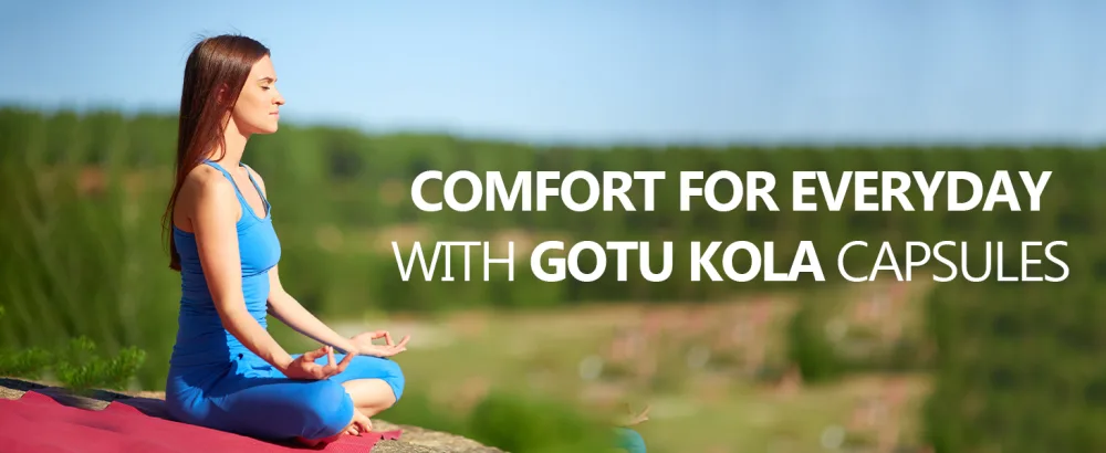 Planet Ayurveda Gotu Kola, 500mg Veg Capsules-Single Bottle 1 - Everyday Comfort