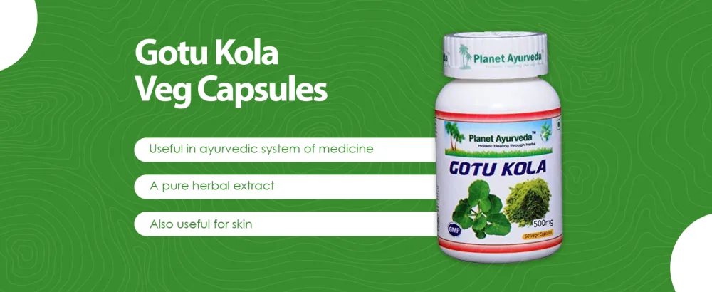 Planet Ayurveda Gotu Kola, 500mg Veg Capsules-Single Bottle 1 - Gotu Kola