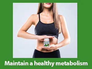 Planet Ayurveda Gotu Kola, 500mg Veg Capsules-Single Bottle 1 - healthy