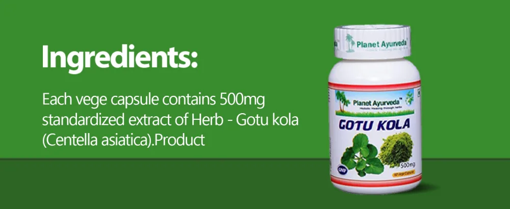 Planet Ayurveda Gotu Kola, 500mg Veg Capsules-Single Bottle 1 - Ingredients