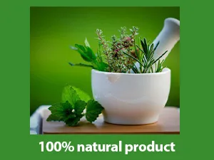 Planet Ayurveda Gotu Kola, 500mg Veg Capsules-Single Bottle 1 - natural
