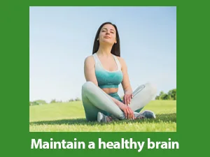 Planet Ayurveda Gotu Kola, 500mg Veg Capsules-Single Bottle 1 - reduce stress