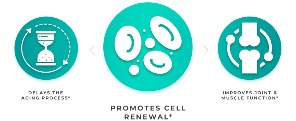Premium Stem Cell Supplements 1,000mg (120 Caps) Boost Immunity, Reduce Joint Soreness, Support Natural Anti-Aging & Longevity with Spirulina & Chlorella for Vitality, Celulas Madre Health Formula - steam Cell - 1000 mg cell enhancer