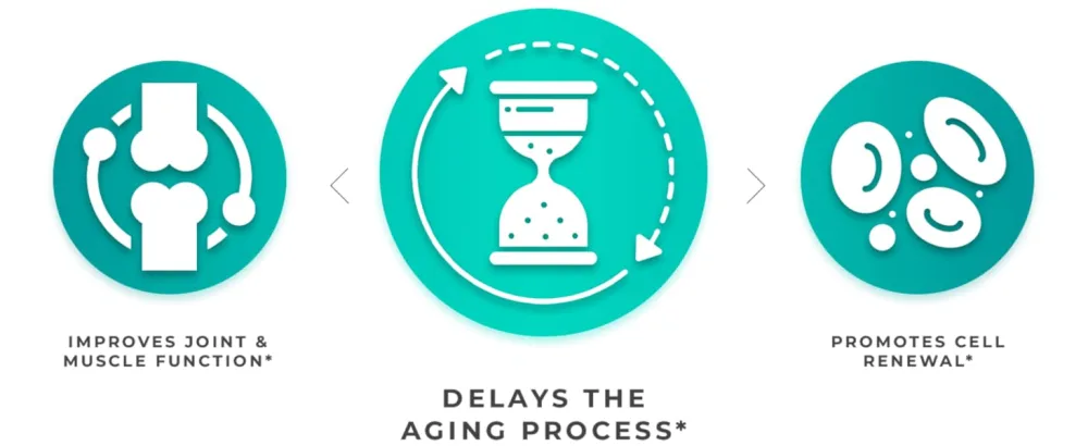 Premium Stem Cell Supplements 1,000mg (120 Caps) Boost Immunity, Reduce Joint Soreness, Support Natural Anti-Aging & Longevity with Spirulina & Chlorella for Vitality, Celulas Madre Health Formula - steam Cell - 1000 mg cell enhancer