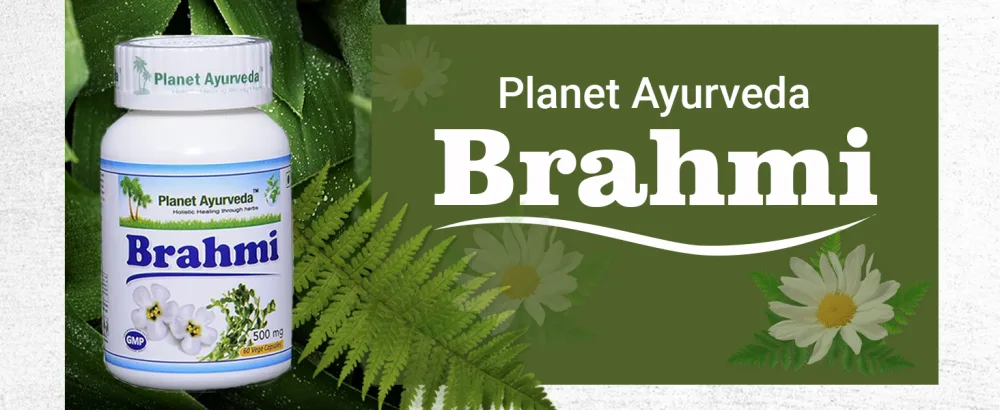 Planet Ayurveda Brahmi, 500mg Veg Capsules - 2 Bottles - Brahmi
