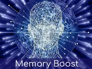 Planet Ayurveda Brahmi, 500mg Veg Capsules - 2 Bottles - Memory Boost