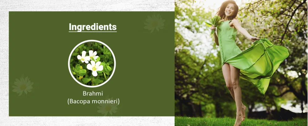 Planet Ayurveda Brahmi, 500mg Veg Capsules - 2 Bottles - Natural Ingredients