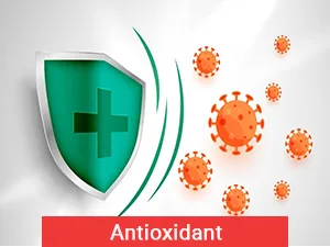 Planet Ayurvda Punarnava Mandur - Herbal Tablets, 100% Natural (1) - Antioxidant