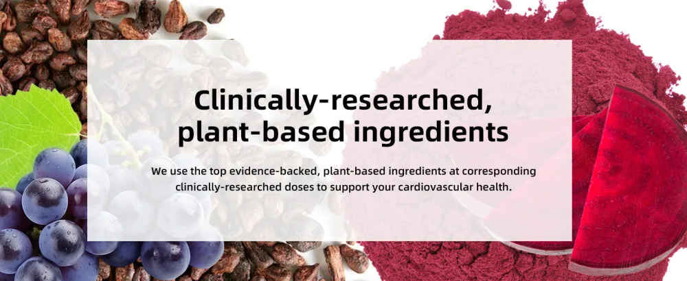BIYODE Beet Root Chews for Circulation & Heart Support: 700mg Beet Root 250mg Grape Seed Extract Nitric Oxide Booster for Energy & Vitality Pomegranate Flavor Low Sugar Non-GMO 60 Soft Chews - Beet Root Chews