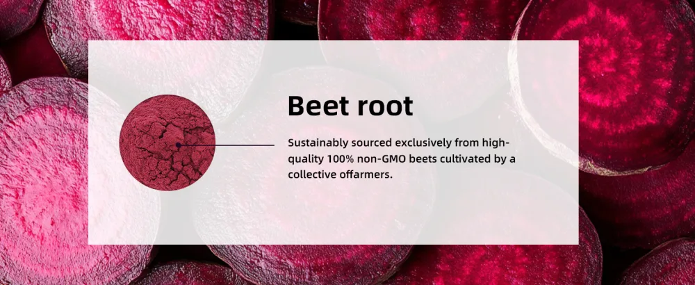 BIYODE Beet Root Chews for Circulation & Heart Support: 700mg Beet Root 250mg Grape Seed Extract Nitric Oxide Booster for Energy & Vitality Pomegranate Flavor Low Sugar Non-GMO 60 Soft Chews - Beet root chews