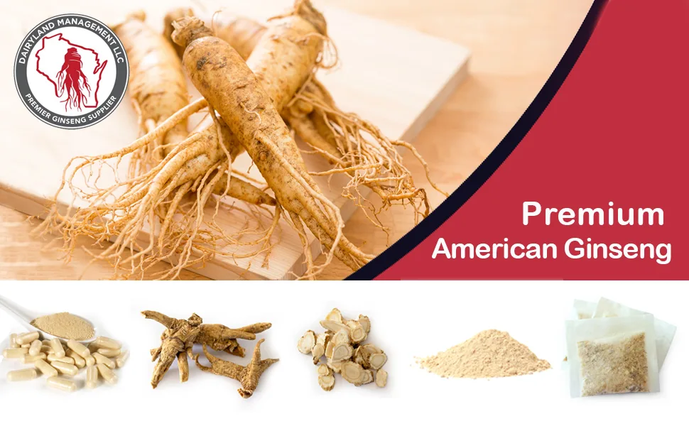 Dairyland American Ginseng Pearl Root (Non-GMO, Gluten Free) (Pearl 4 oz) - american ginseng