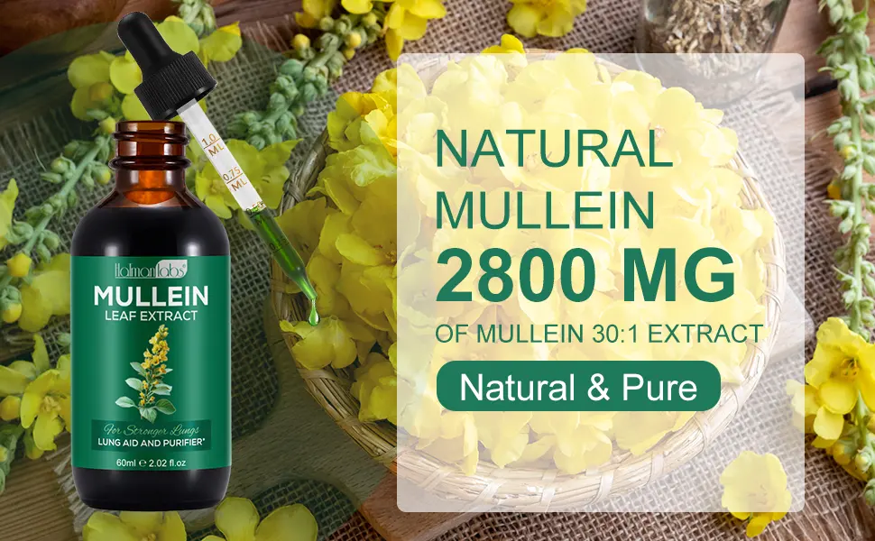 Mullein Leaf Extract for Lungs, Mullein Drops for Lungs with Chrolophyll, Support Lung, Respiratory Function for Healthy Breathing, Improvement in Pulmonary Function,Natural & Safe Supplement(1 PC) 2.02 Fl Oz (Pack of 1) - mullein drops for lungs