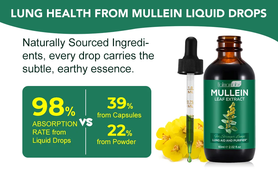 Mullein Leaf Extract for Lungs, Mullein Drops for Lungs with Chrolophyll, Support Lung, Respiratory Function for Healthy Breathing, Improvement in Pulmonary Function,Natural & Safe Supplement(1 PC) 2.02 Fl Oz (Pack of 1) - mullein drops for lungs