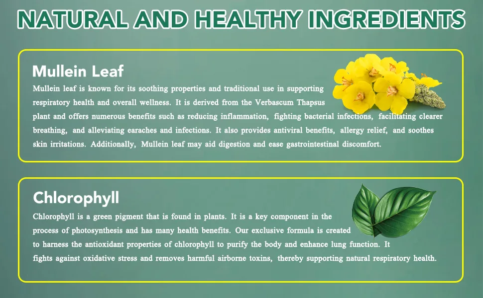 Mullein Leaf Extract for Lungs, Mullein Drops for Lungs with Chrolophyll, Support Lung, Respiratory Function for Healthy Breathing, Improvement in Pulmonary Function,Natural & Safe Supplement(1 PC) 2.02 Fl Oz (Pack of 1) - Mullein Drops for Lungs