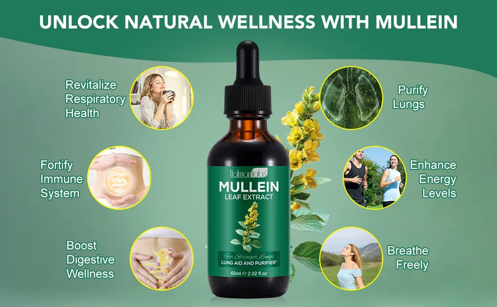 Mullein Leaf Extract for Lungs, Mullein Drops for Lungs with Chrolophyll, Support Lung, Respiratory Function for Healthy Breathing, Improvement in Pulmonary Function,Natural & Safe Supplement(1 PC) 2.02 Fl Oz (Pack of 1) - mullein drops for lungs