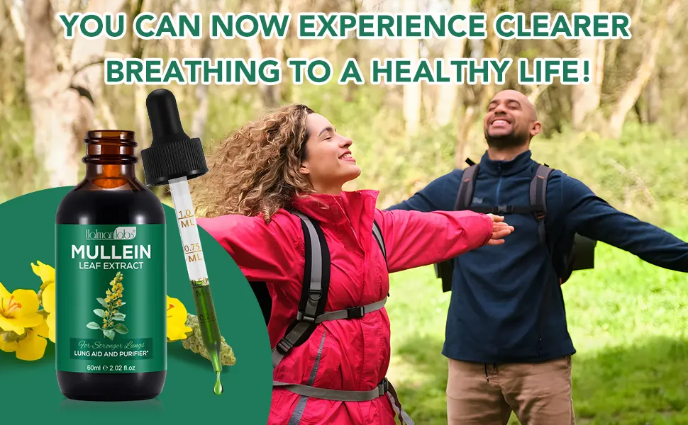 Mullein Leaf Extract for Lungs, Mullein Drops for Lungs with Chrolophyll, Support Lung, Respiratory Function for Healthy Breathing, Improvement in Pulmonary Function,Natural & Safe Supplement(1 PC) 2.02 Fl Oz (Pack of 1) - mullein drops for lungs