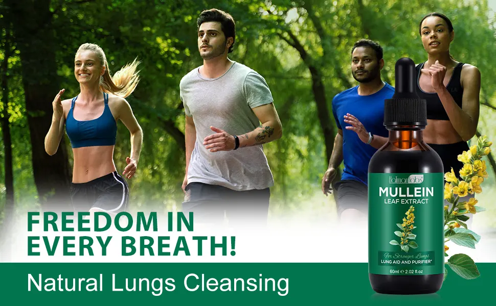 Mullein Leaf Extract for Lungs, Mullein Drops for Lungs with Chrolophyll, Support Lung, Respiratory Function for Healthy Breathing, Improvement in Pulmonary Function,Natural & Safe Supplement(1 PC) 2.02 Fl Oz (Pack of 1) - Mullein Leaf Extract for Lungs