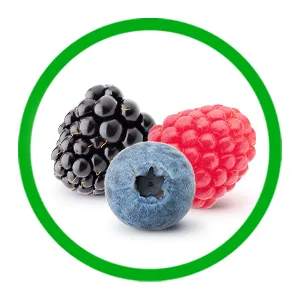 Benefiber Dual Action Biotic Plus Stress Relief, 18 Count Stick Packs - raspberry, blackberry, &amp; blueberry