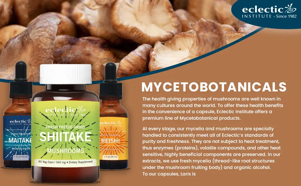 Eclectic Institute Non-GMO Cordyceps Extract | Energy, Immunity, Exercise Support | 2 fl oz (60 ml) - Eclectic