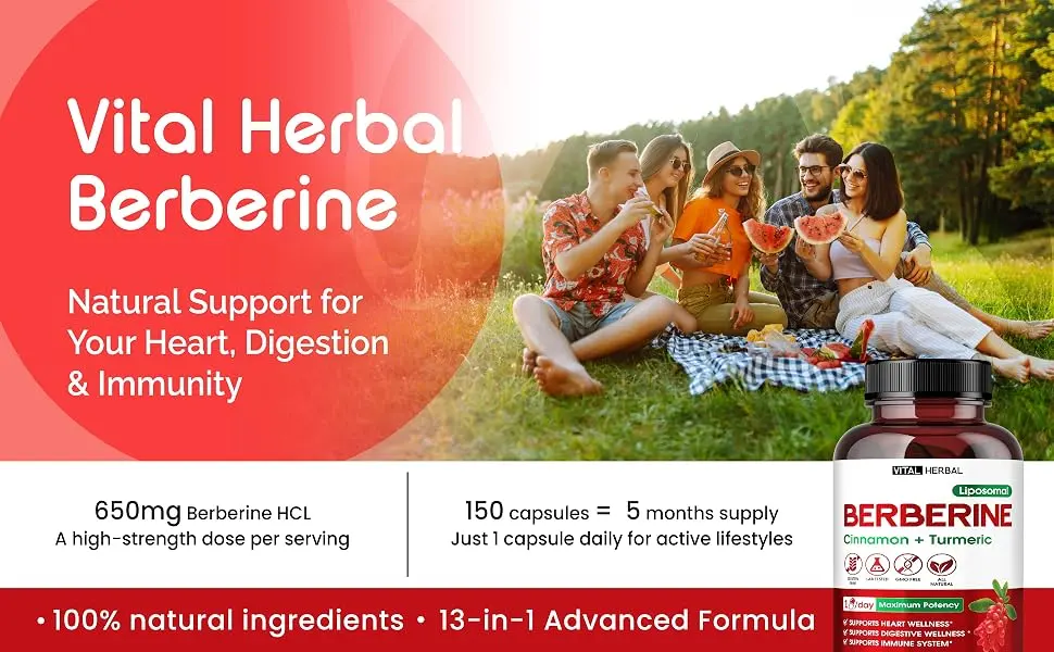 Liposomal Berberine with Cinnamon & Turmeric Supports Digestion & Immune Health 150 Capsules 150 count (pack of 1) - vital herbal berberine